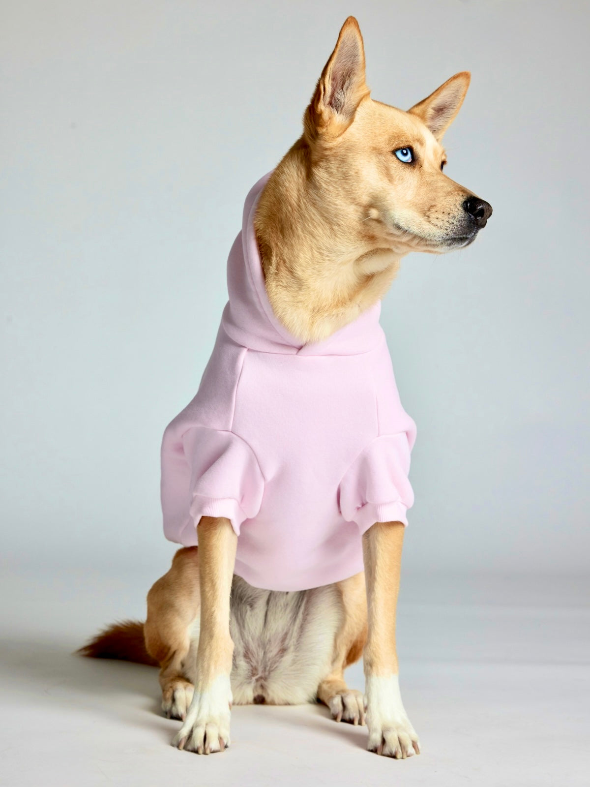 Powder Pink /