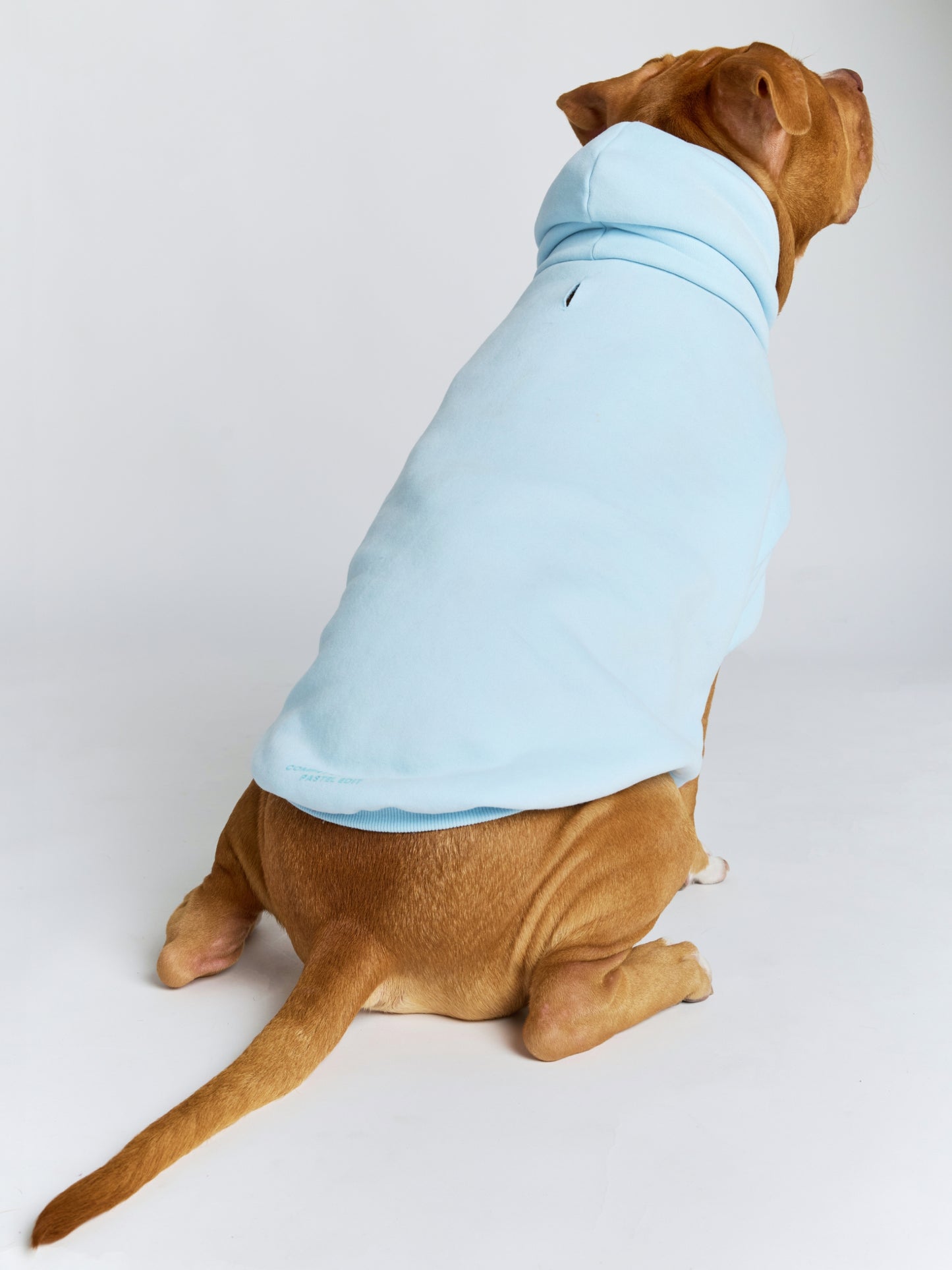 Baby Blue / Kash
