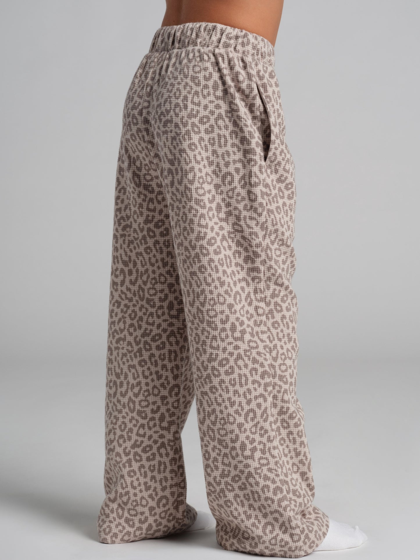 Desert Leopard / Joseph