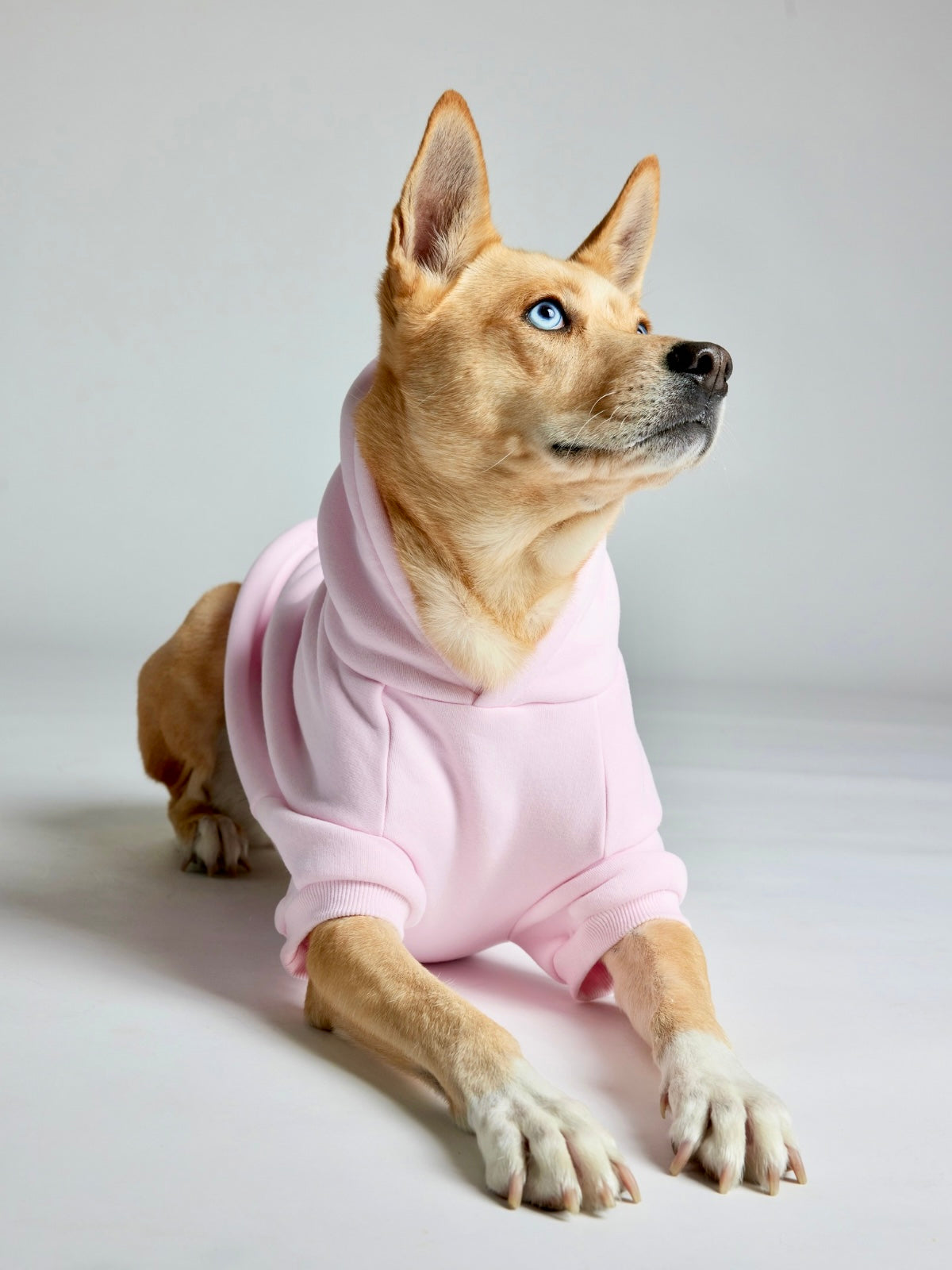 Powder Pink /