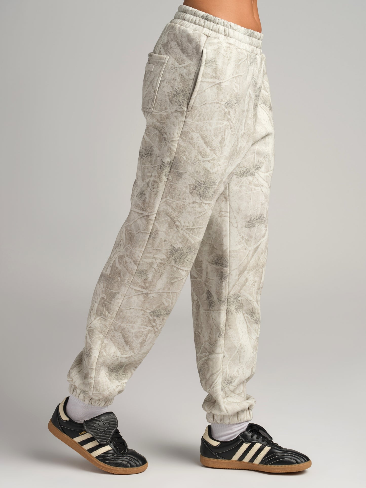Silver Birch / F