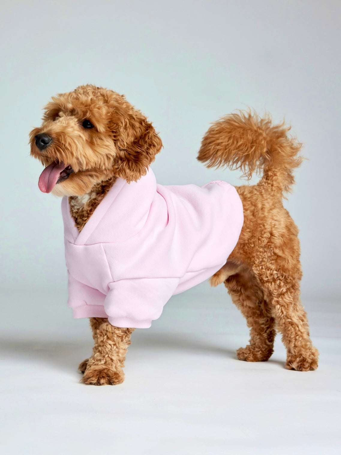 Powder Pink / Theo