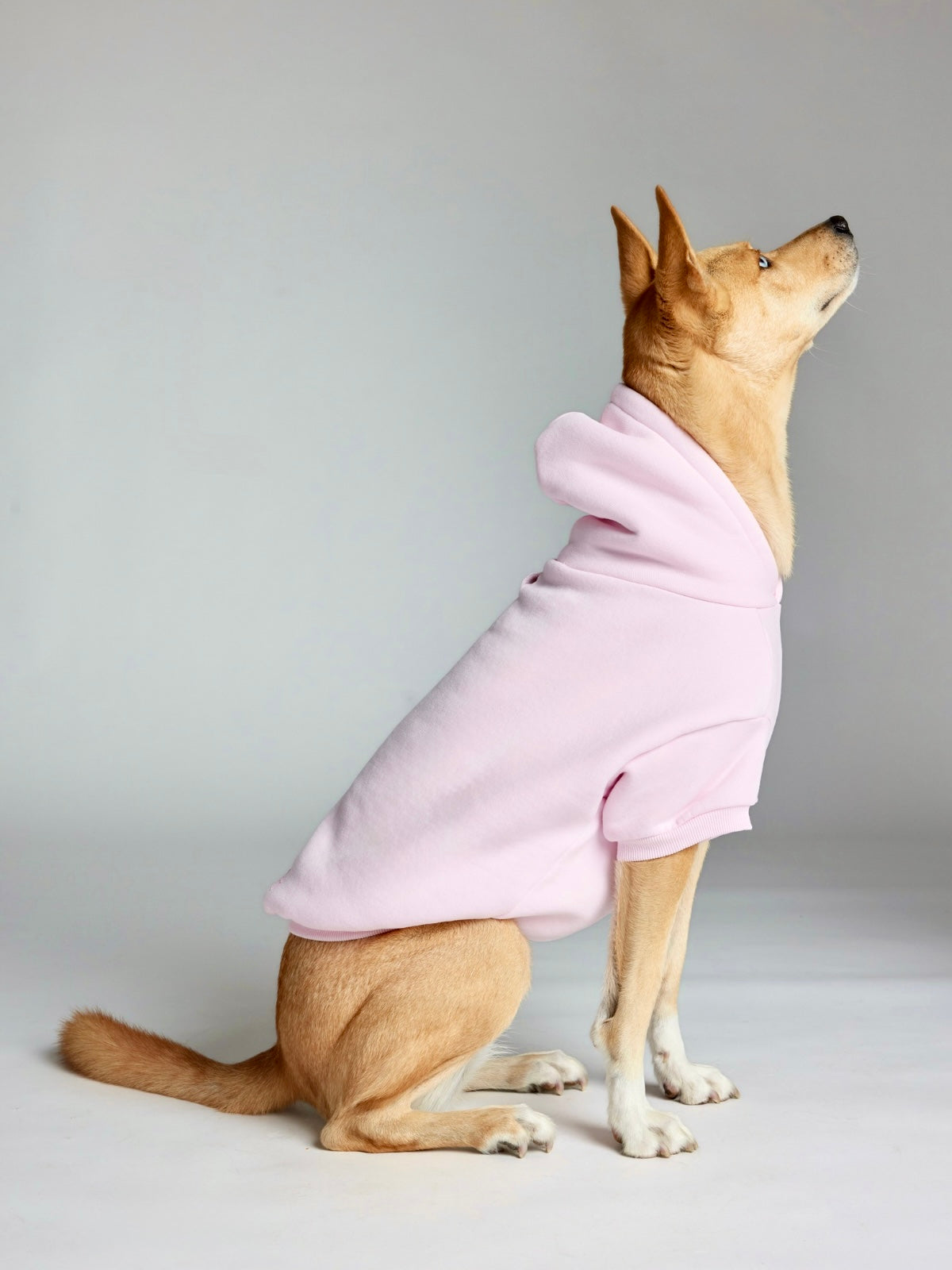 Powder Pink /