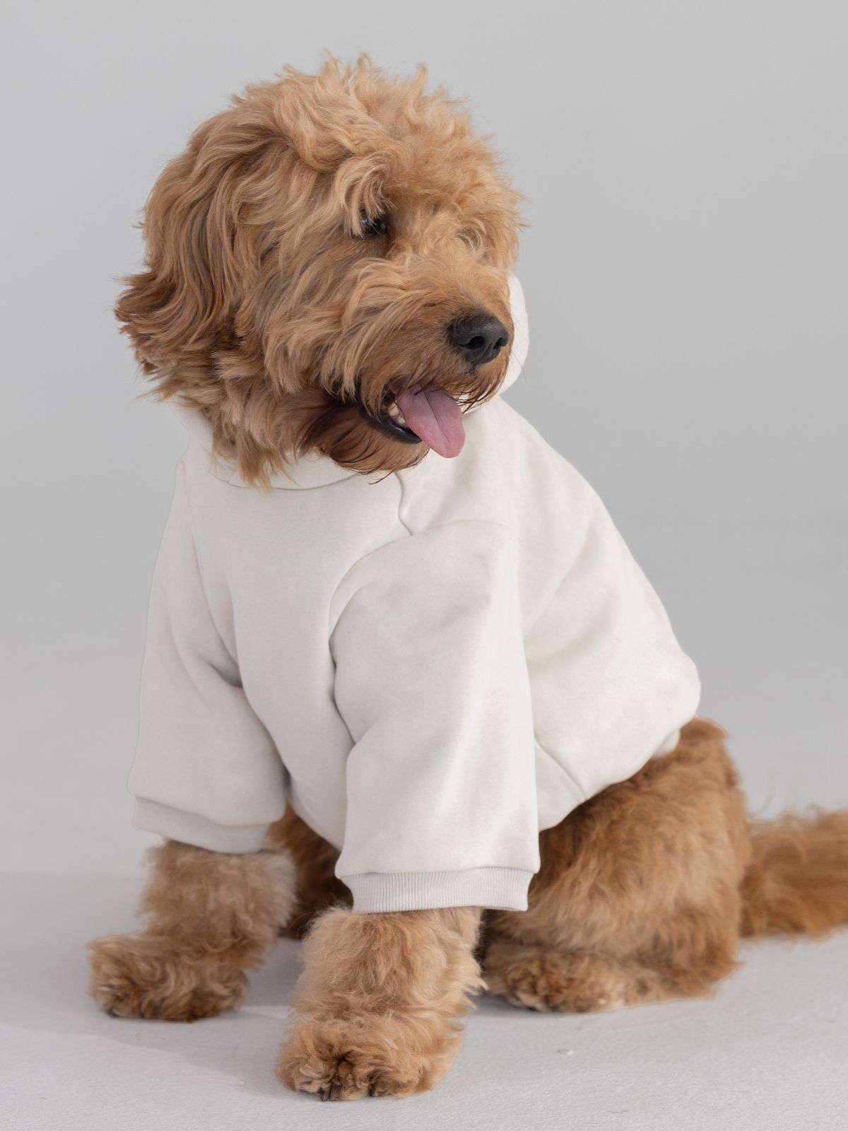 Cotton / Pet