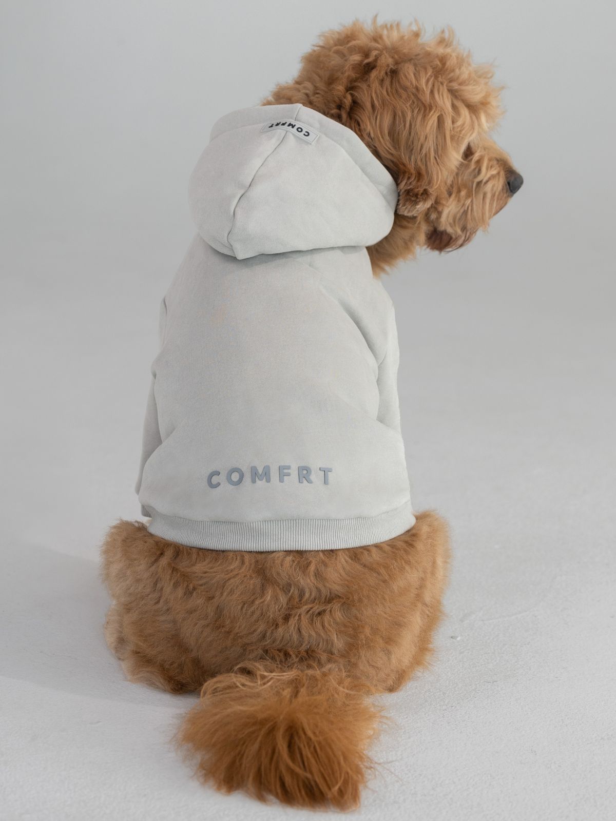 Cement / Pet