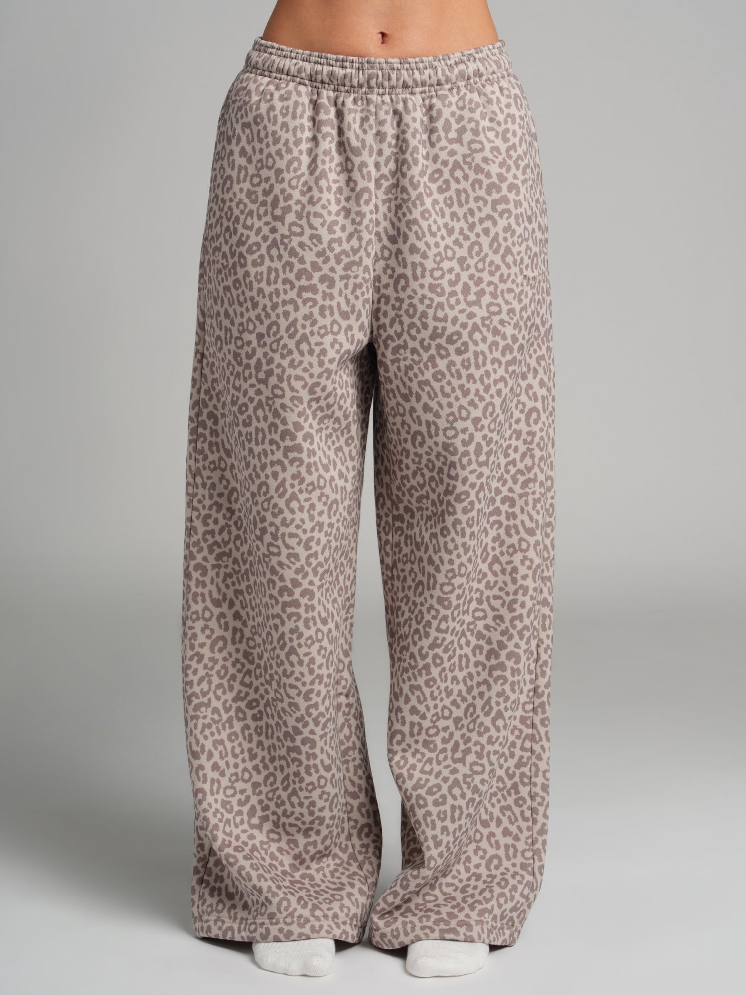 Desert Leopard / F