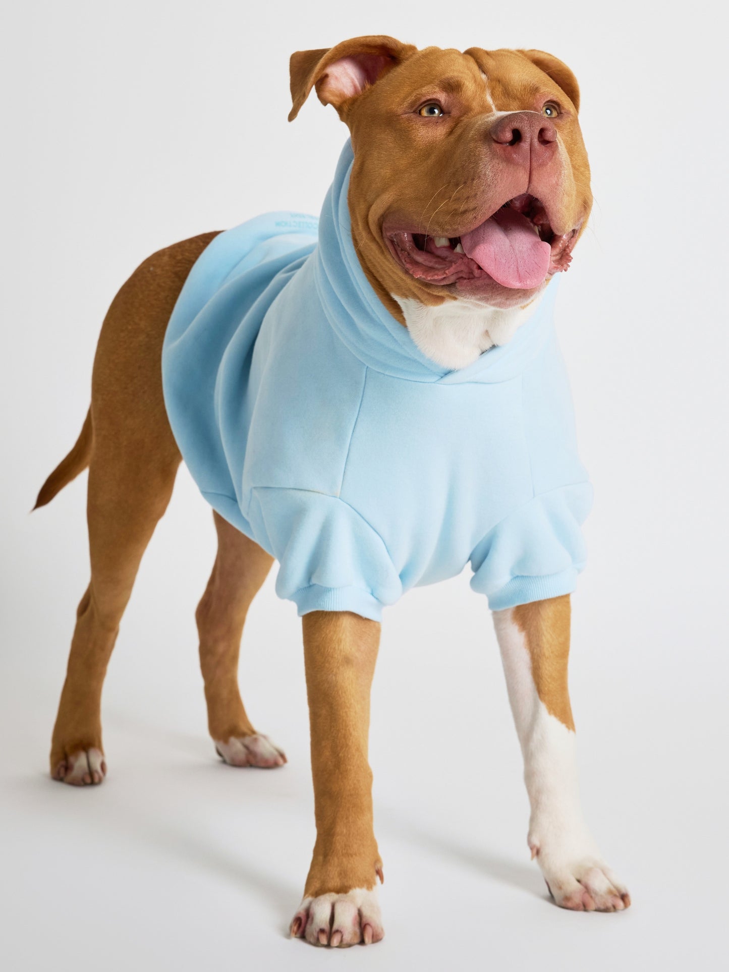 Baby Blue / Kash