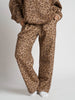 Brown Leopard / XXS