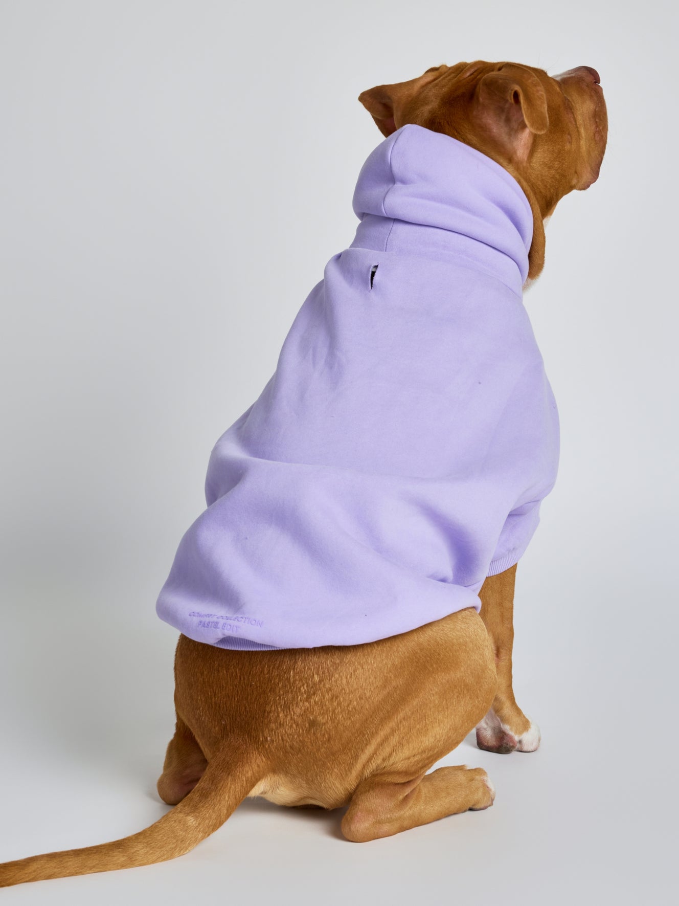 Lavender / Kash