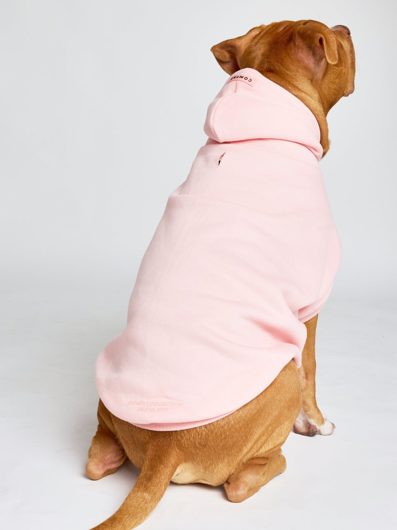 Bubblegum / Kash
