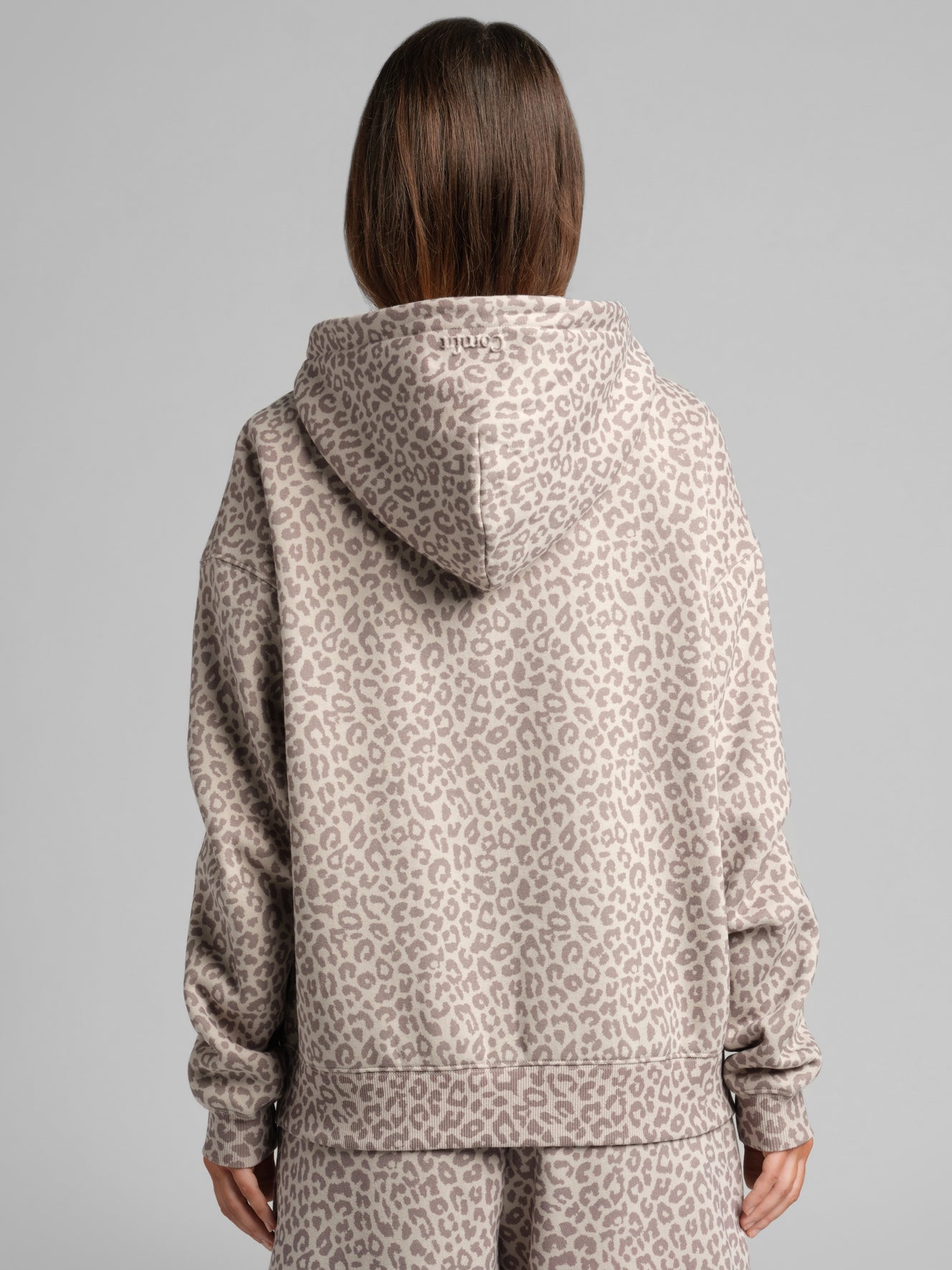 Desert Leopard / F