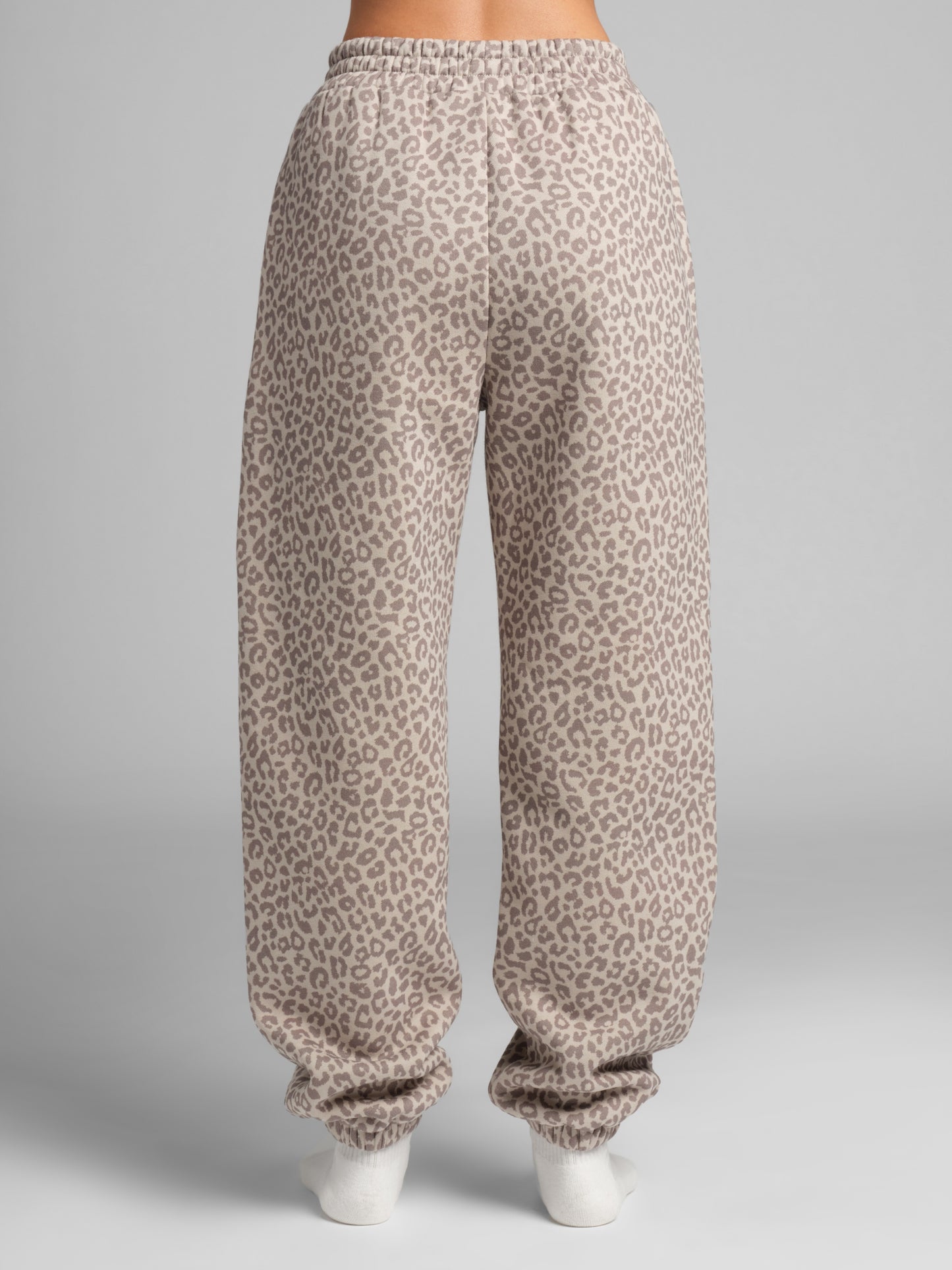 Desert Leopard / F