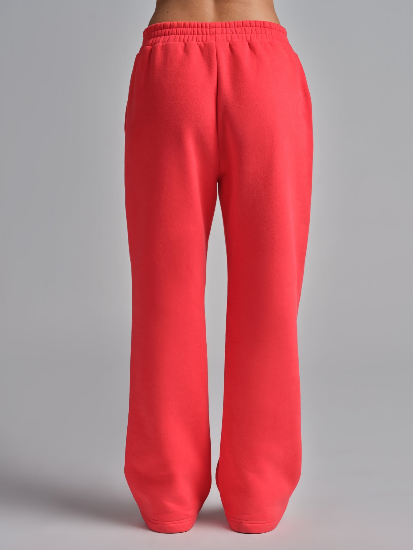 Hibiscus Red / F