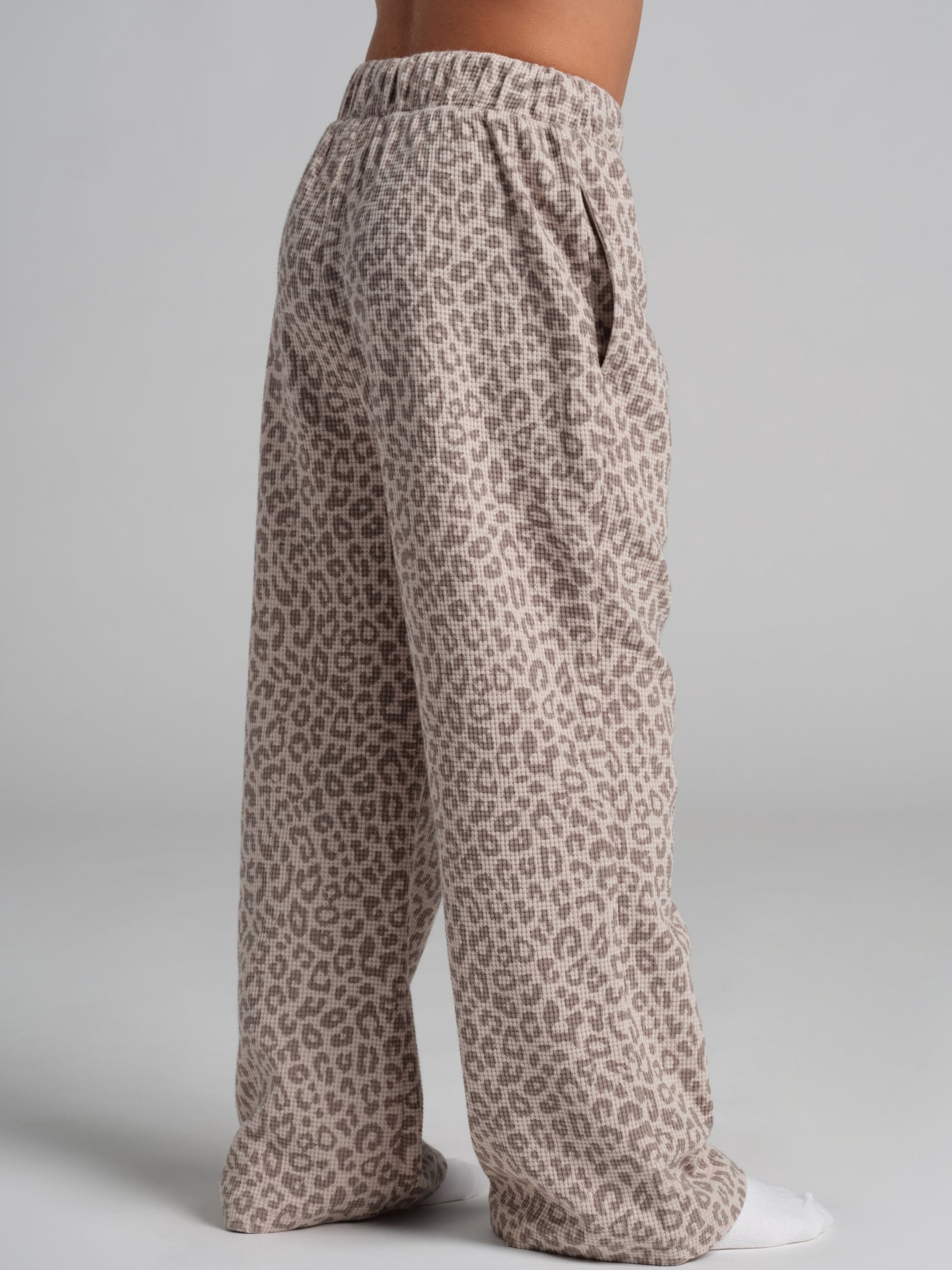Desert Leopard / Joseph