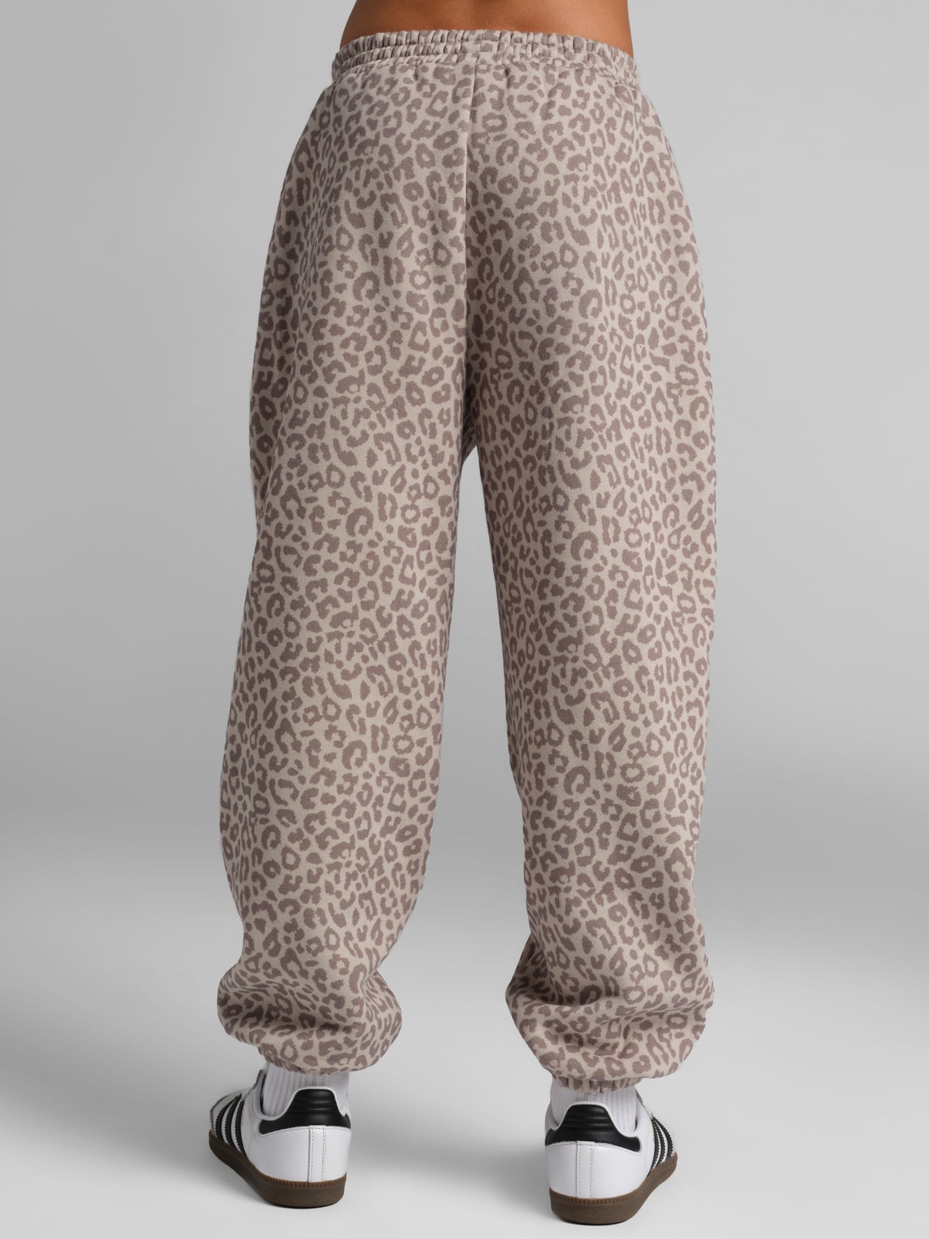 Desert Leopard / Logan