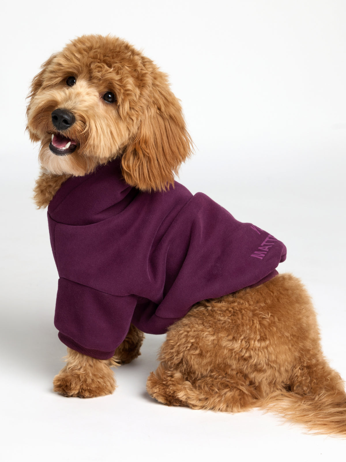 Plum / Theo