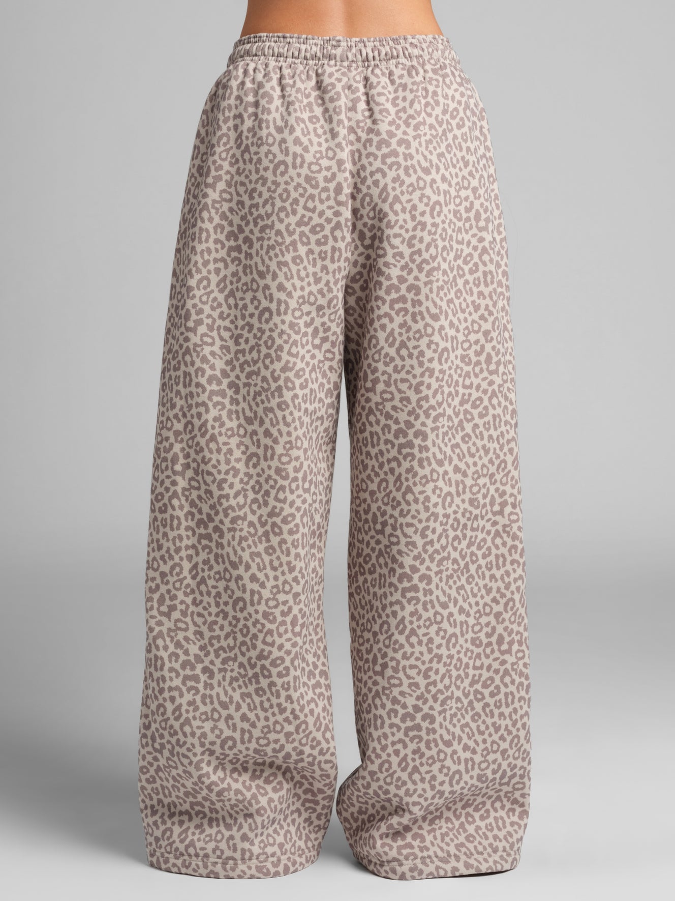 Desert Leopard / F