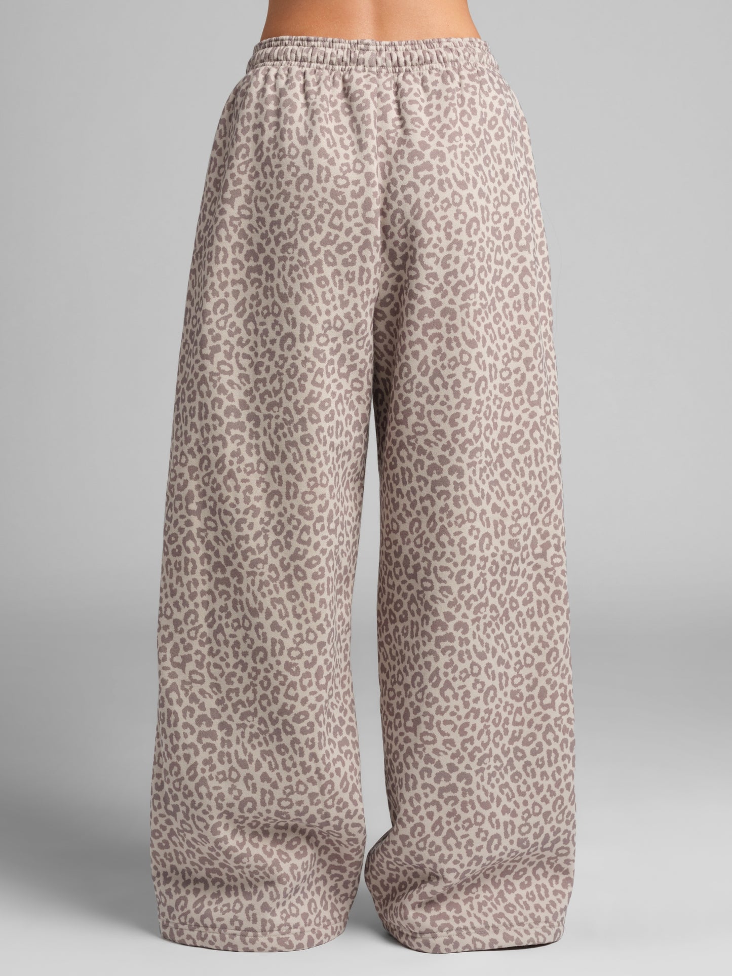 Desert Leopard / F